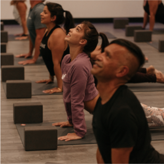 support yogasix